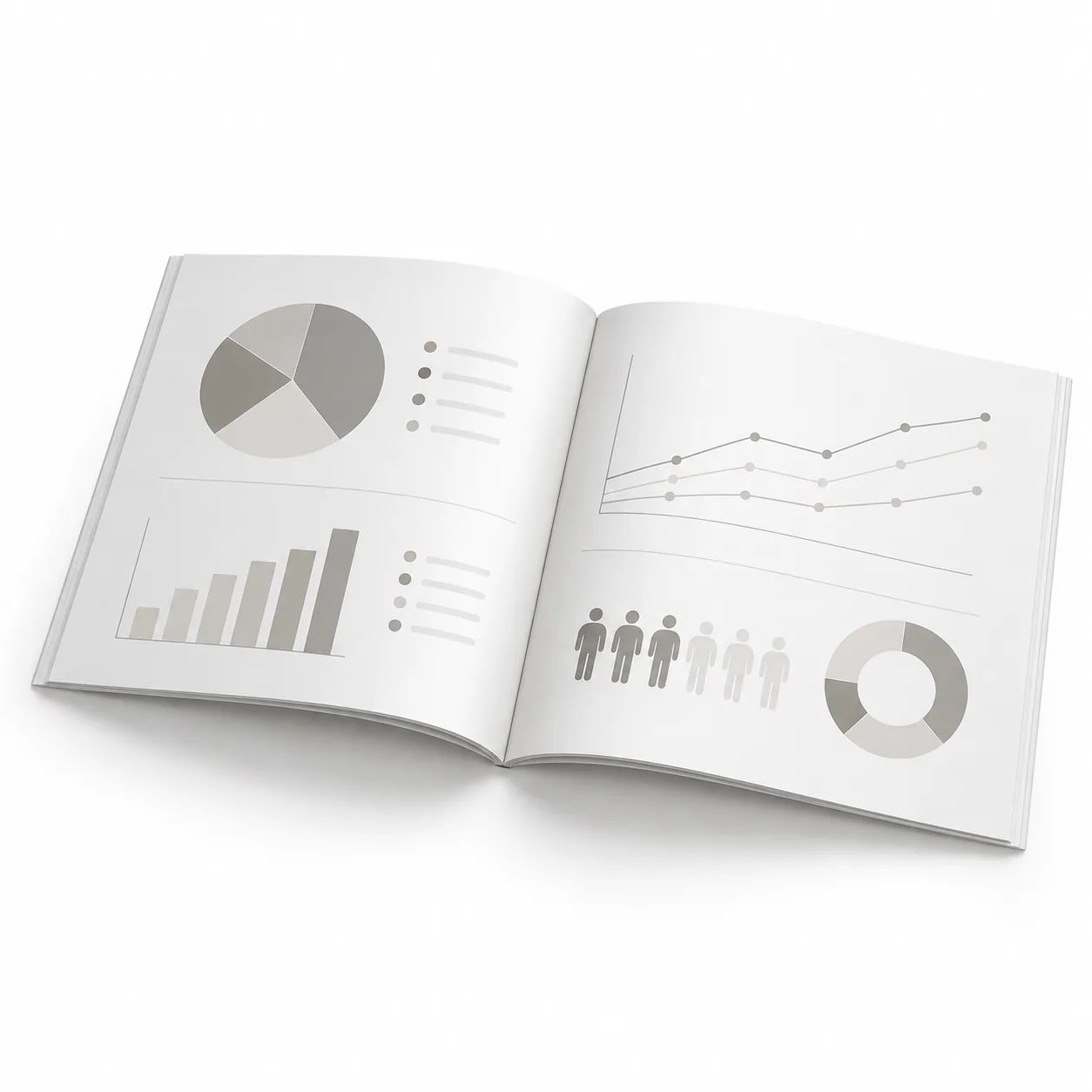 Audience report example
